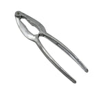 Stainless steel nut cracker with various nuts, including walnuts and almonds.
