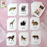 Box containing 32 durable and laminated animal flash cards for toddlers