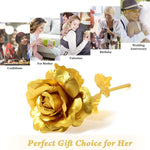 Decorative gold plated rose inside its premium clear display box