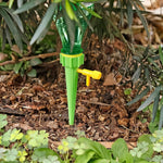 Plant Watering Spike inserted in soil near roots for slow hydration