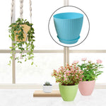Various plants thriving in the stylish plastic flower pot set, arranged in an indoor setting.