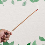 Detail view of Styleva Agarbatti Sticks packaging design.