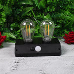 Side view of the energy-efficient Solar LED Lamp with solar panel.