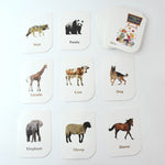 Example of giraffe animal flash card with bright colorful illustration