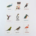Educational flashcards featuring exotic birds like flamingo with bold text names