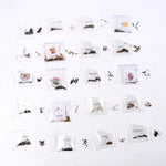 Rainbow bloom flower seeds set for bright garden colors