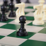 Organized plastic pouch storing all components of portable chess set