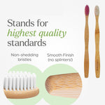 Two natural bamboo toothbrushes placed on a clean white background