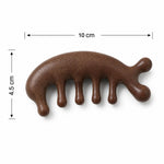 Wooden scalp comb with handle for size reference
