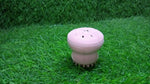Brightly lit silicone facial cleansing brush in its packaging, ready for use.