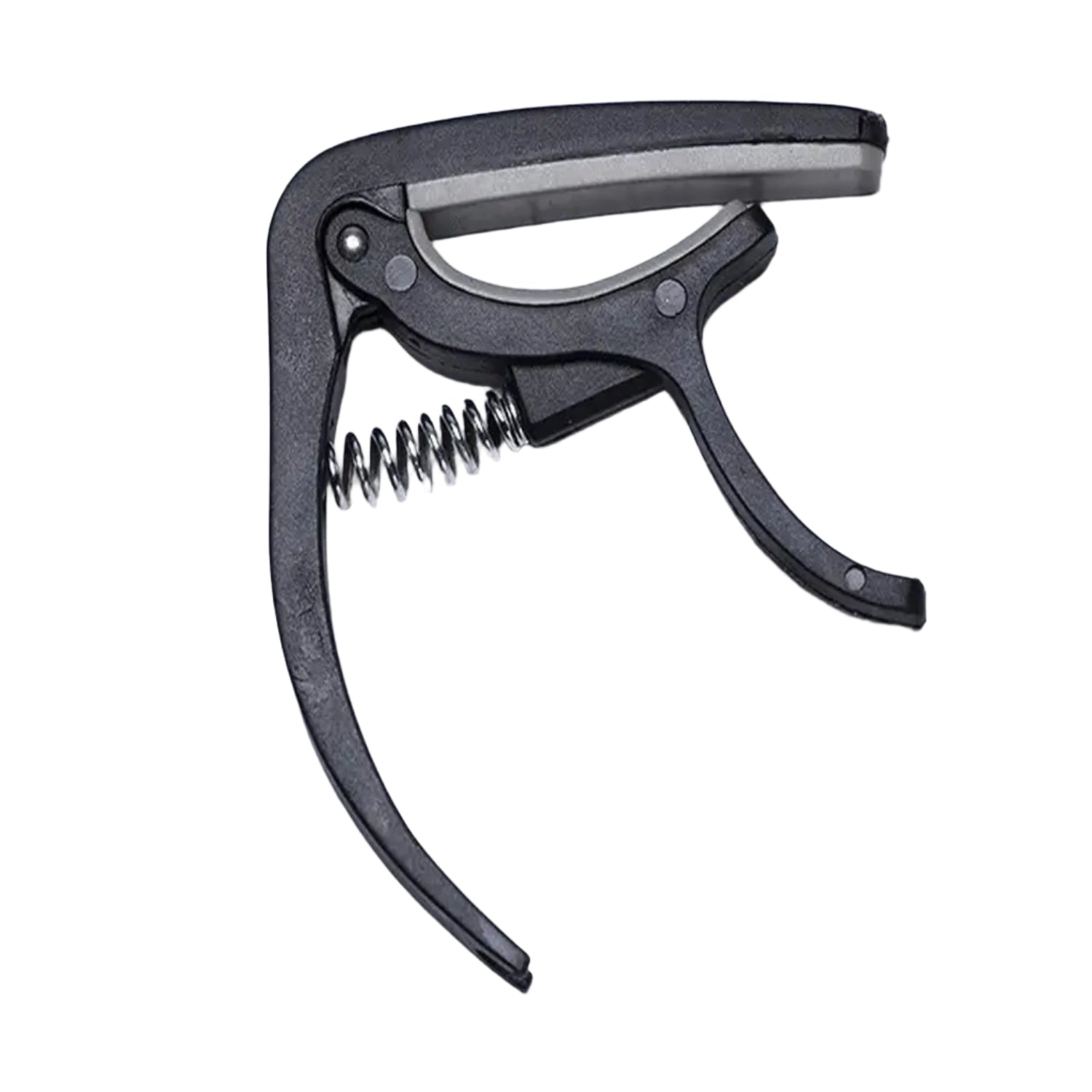 Wagtail guitar capo securely clamped on an acoustic guitar neck.