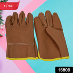 Close-up of leather gardening gloves protecting hands while pruning thorny rose bushes.