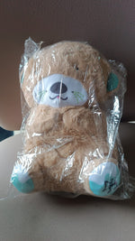 Musical teddy bear plush toy packaged as single gift unit