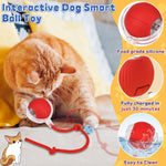 Durable interactive cat toy ball with detachable braided tail component