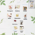 Fruit seeds combo pack sealed in a pouch for home gardening