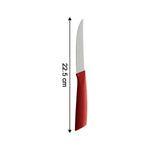 Close-up view of sharp stainless steel blade on fruit knife