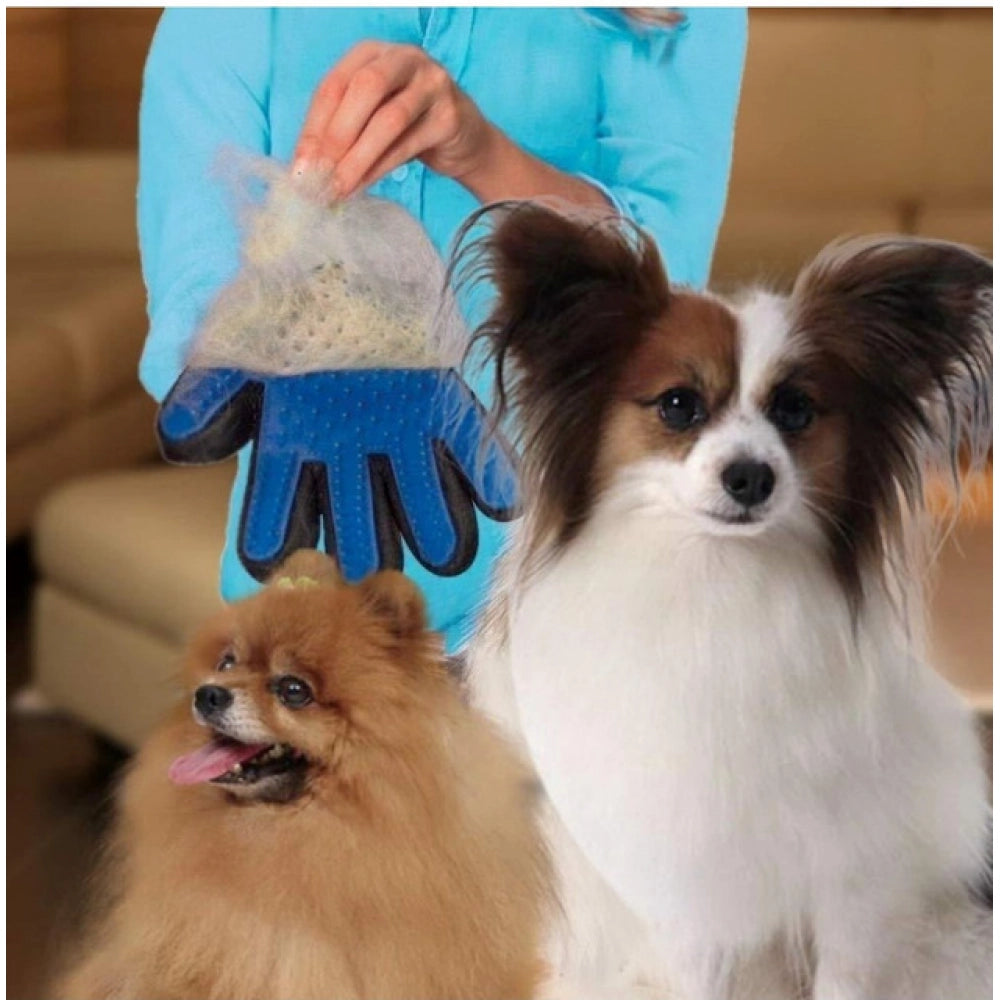 Pack of 2_5-Finger Deshedding Glove €“ Pet Hair Remover And Grooming Gloves (Color: Assorted )