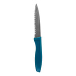 Sharp serrated edge on stainless steel paring knife
