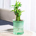 Self-watering bamboo style plant pot with reservoir