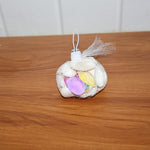 Decorative seashells set with natural coastal aesthetic for decoration