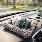 Plush open-eye cat showpiece on white background