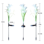 Dimension representation of solar garden flower lights approximately 40 cm tall