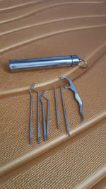 A compact stainless steel dental tool set, ideal for on-the-go oral care.